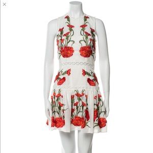 Alexis dress in size S